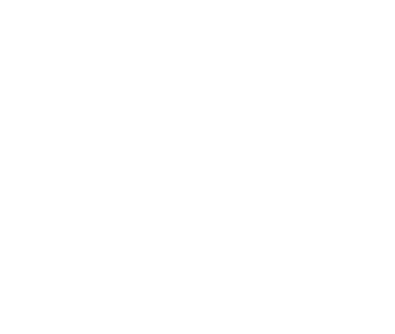 Logo The Little Diva